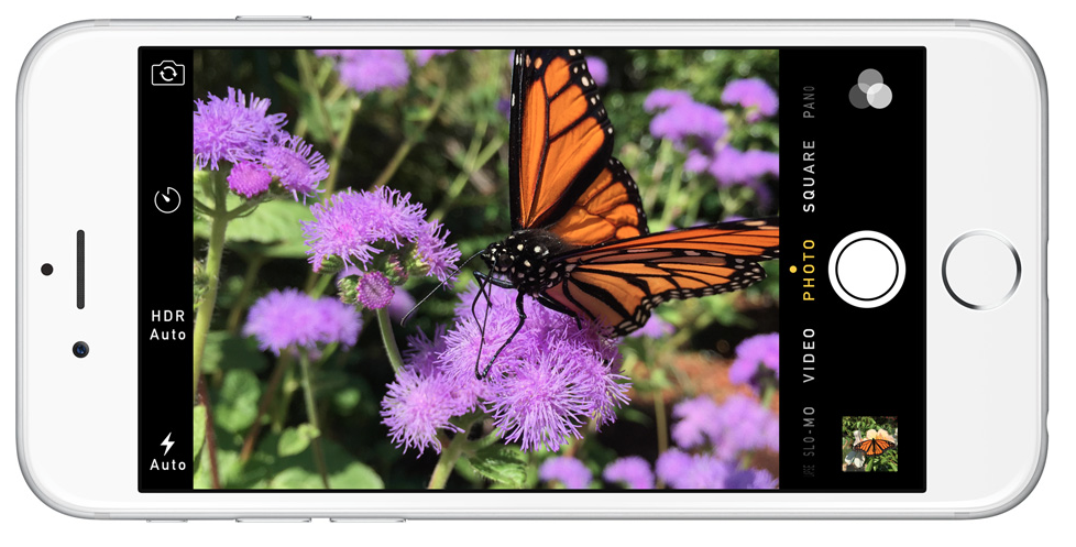 iPhone 6